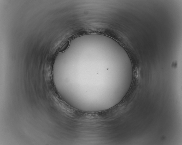 X0000112460915200909071106