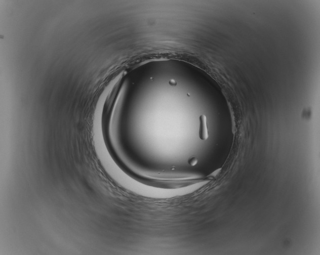 X0000112460916200909071106