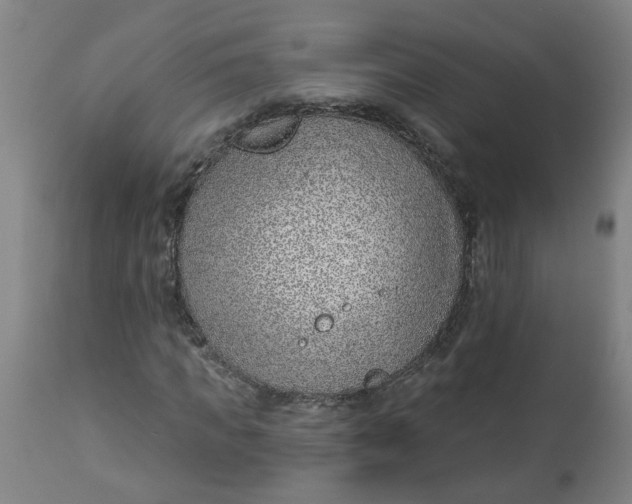 X0000112460917200909071106