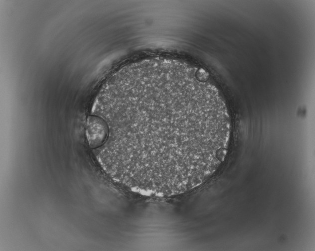 X0000112460918200909071106