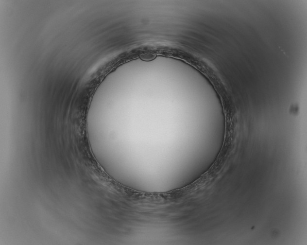 X0000112460919200909071106