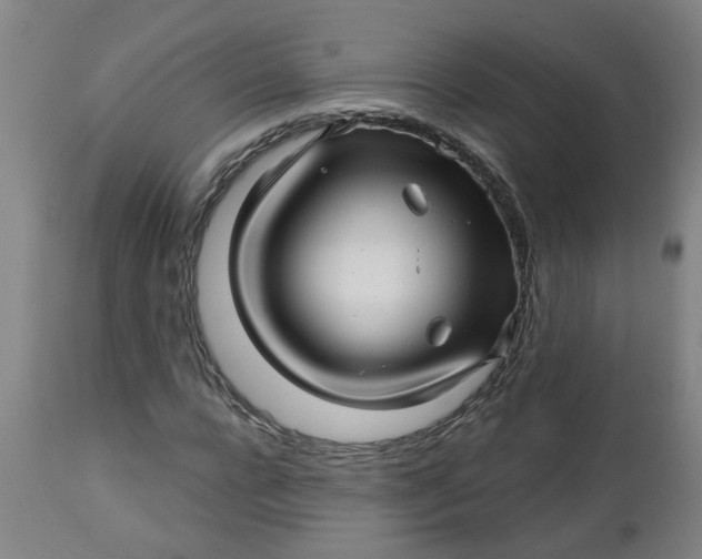 X0000112460920200909071106