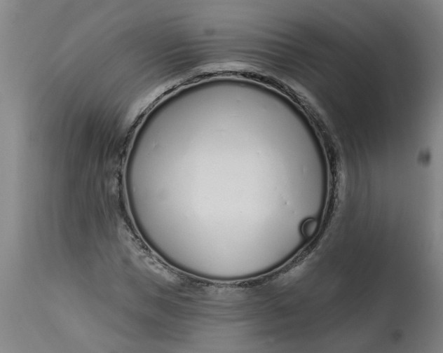 X0000112460921200909071106