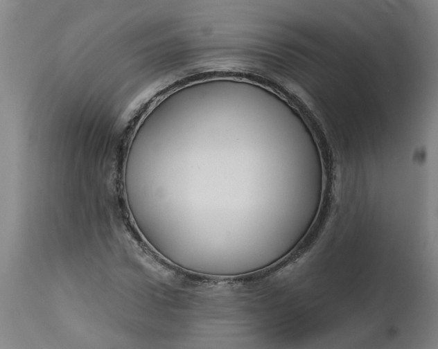 X0000112460922200909071106