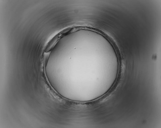 X0000112460925200909071106