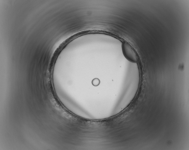 X0000112460928200909071106