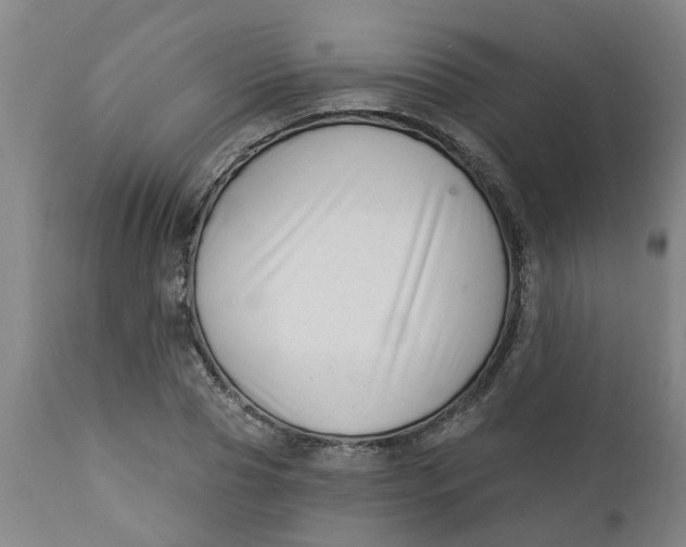 X0000112460929200909071106