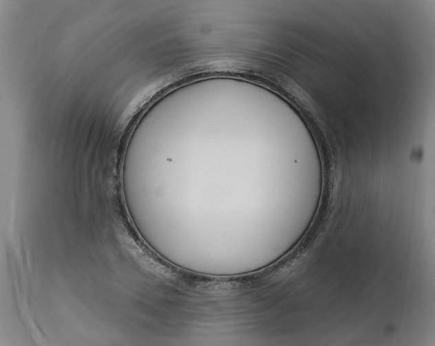 X0000112460930200909071106