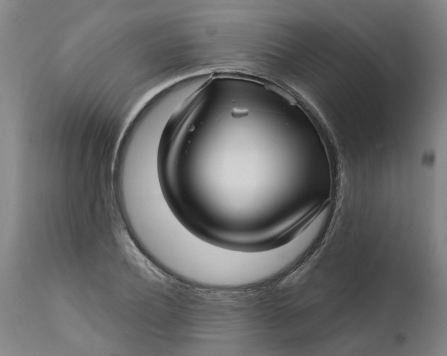 X0000112460932200909071106