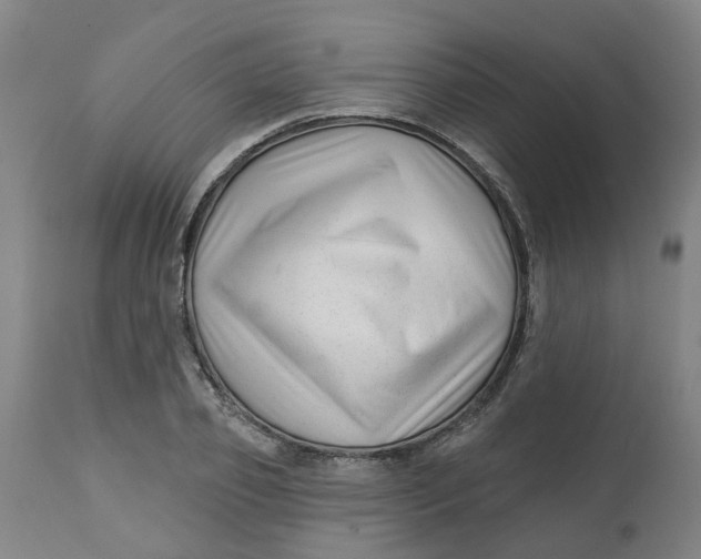 X0000112460933200909071106