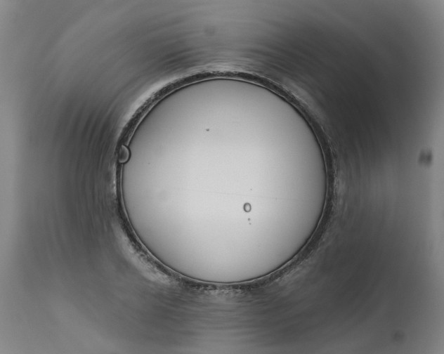 X0000112460934200909071106