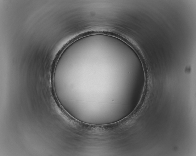 X0000112460935200909071106