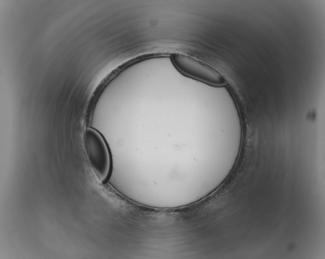 X0000112460936200909071106