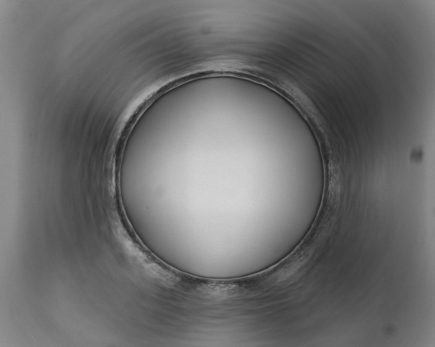 X0000112460939200909071106