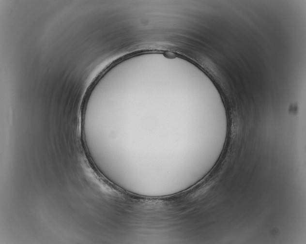 X0000112460940200909071106