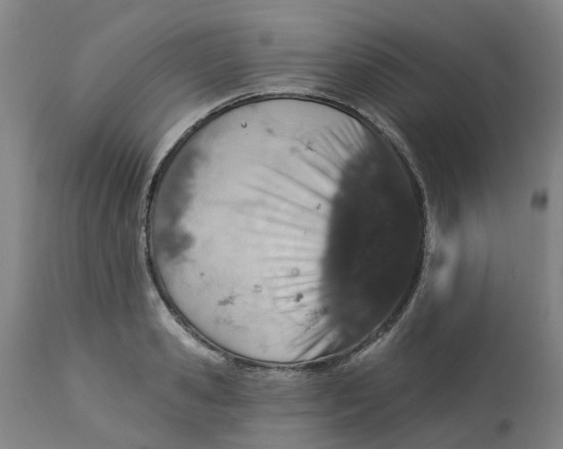 X0000112460941200909071106