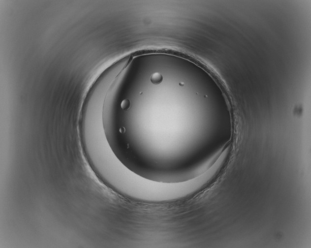 X0000112460943200909071106