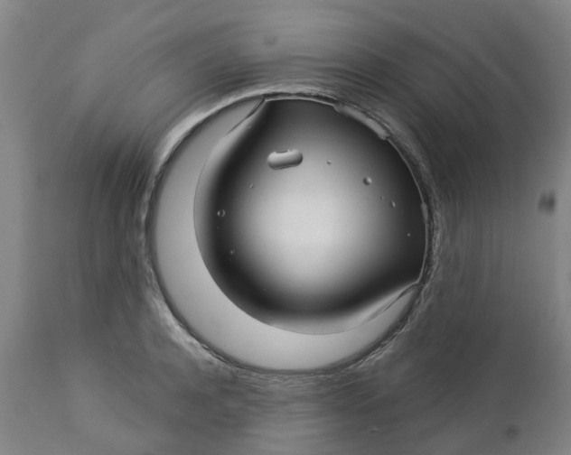 X0000112460944200909071106