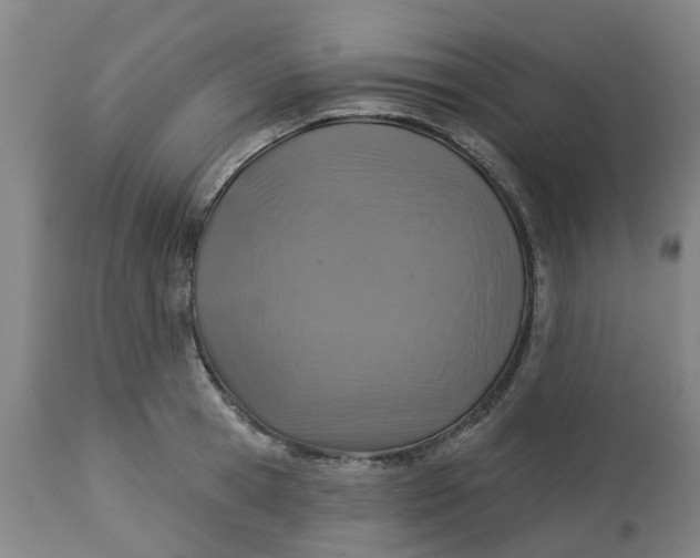 X0000112460945200909071106