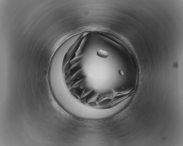 X0000112460946200909071106