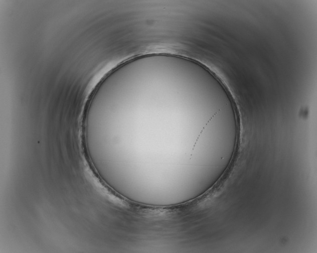 X0000112460949200909071106