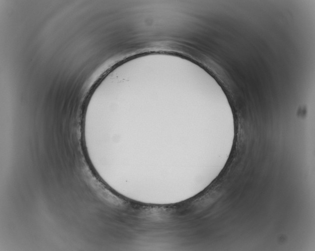 X0000112460950200909071106