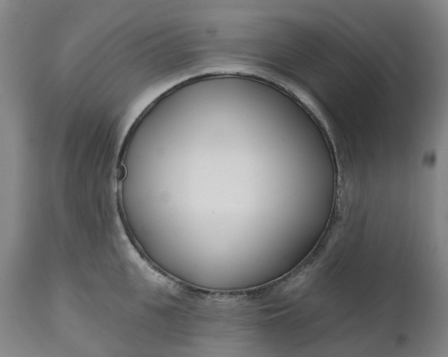 X0000112460951200909071106