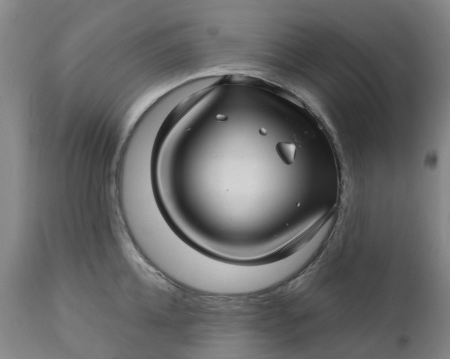 X0000112460952200909071106