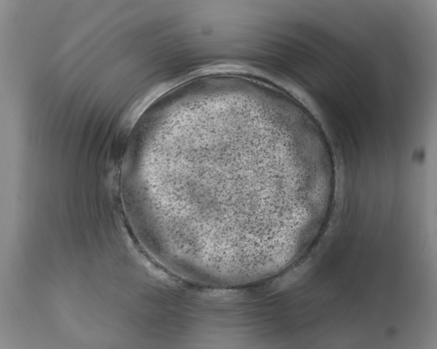 X0000112460953200909071106