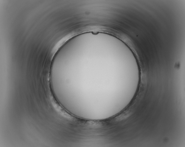 X0000112460954200909071106