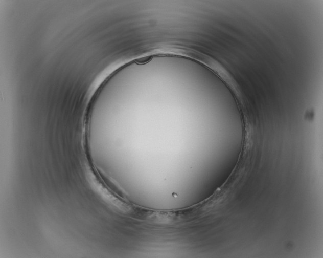 X0000112460955200909071106