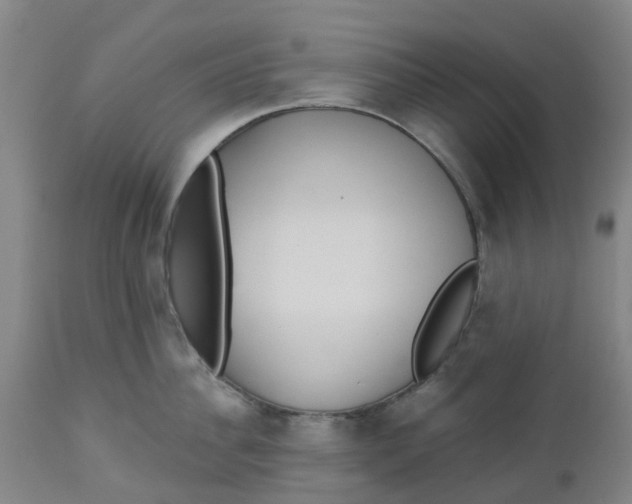 X0000112460956200909071106