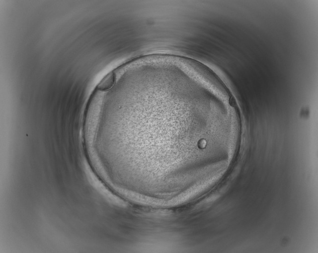 X0000112460957200909071106