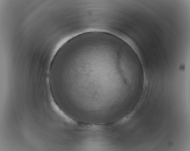 X0000112460958200909071107