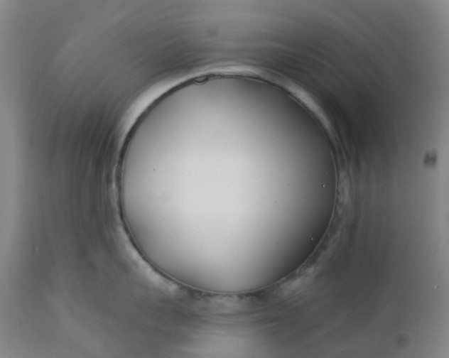 X0000112460959200909071107