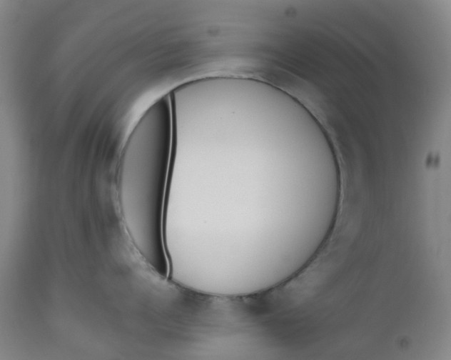 X0000112460960200909071107