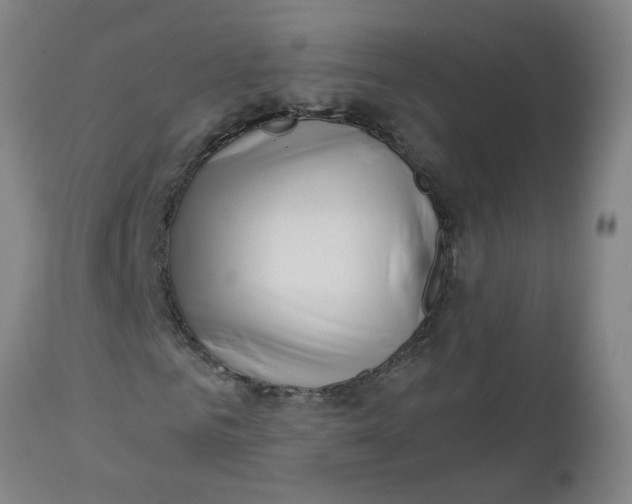 X0000112460961200909071106