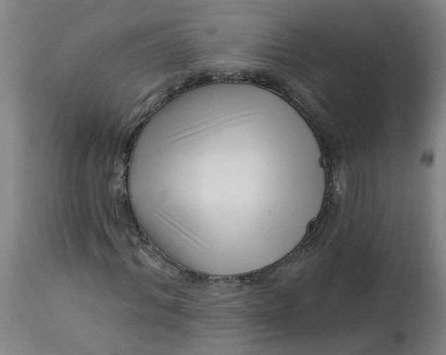 X0000112460964200909071106