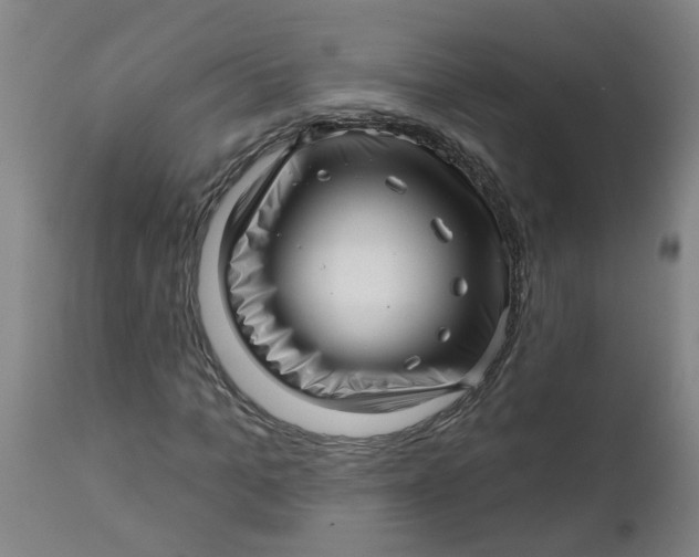 X0000112460965200909071106