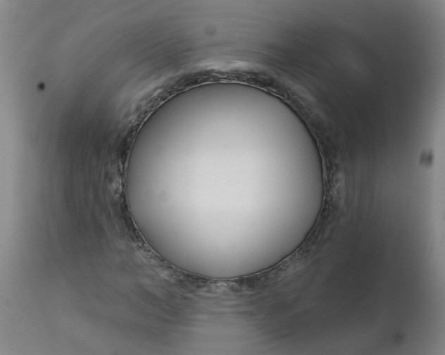 X0000112460966200909071106