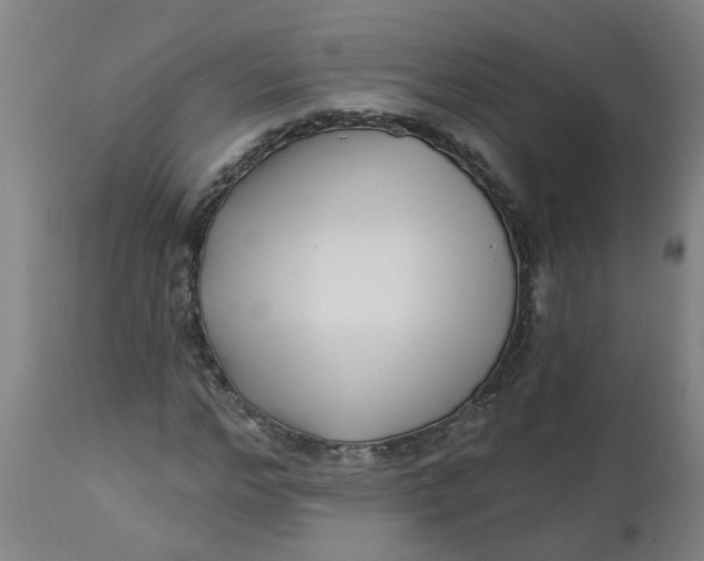 X0000112460968200909071106