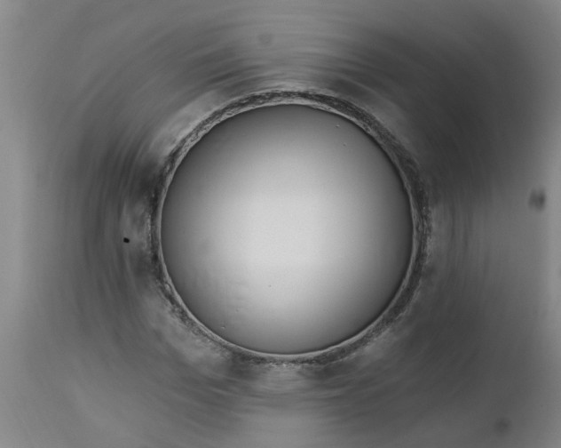 X0000112460969200909071106