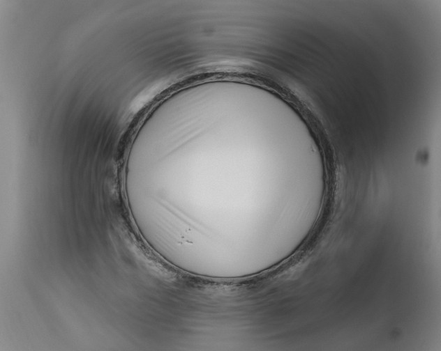 X0000112460970200909071106