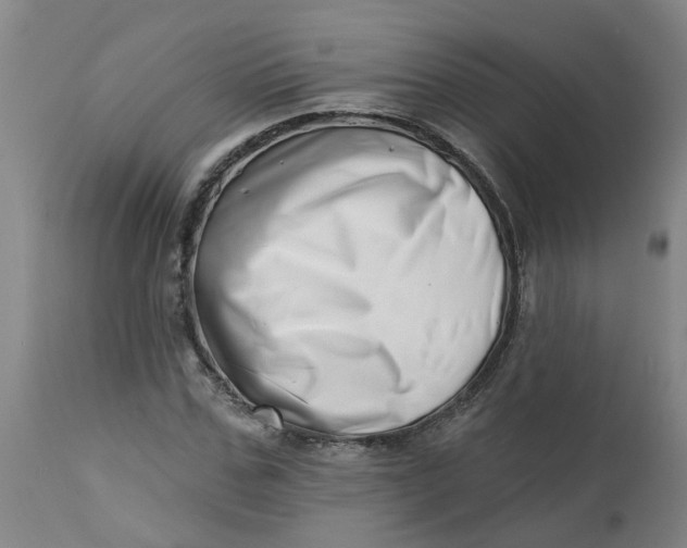 X0000112460971200909071106