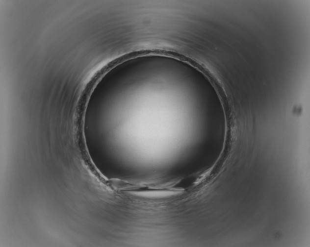 X0000112460975200909071106