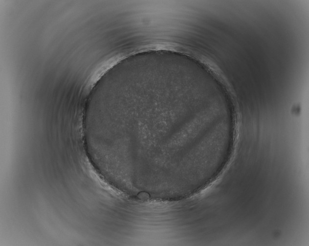 X0000112460977200909071105