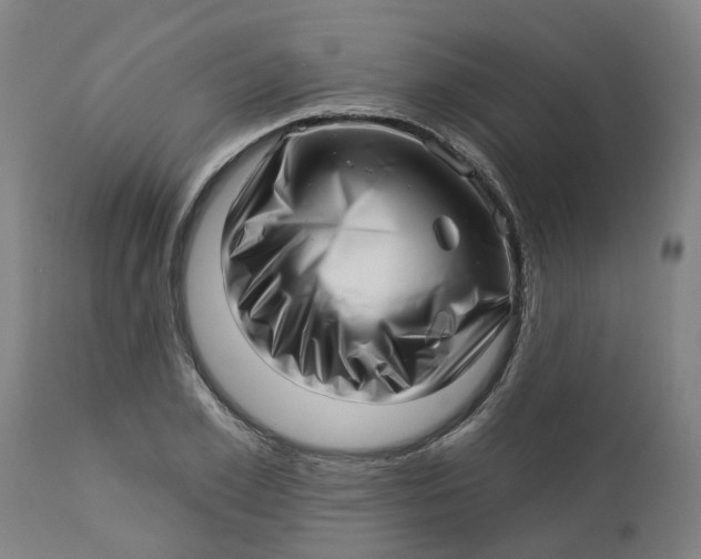 X0000112460981200909071105