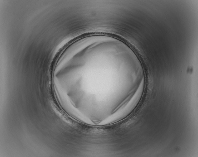 X0000112460982200909071105