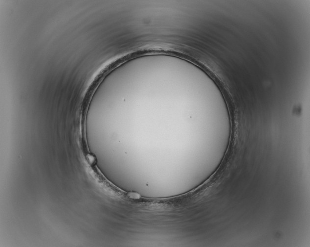 X0000112460984200909071105