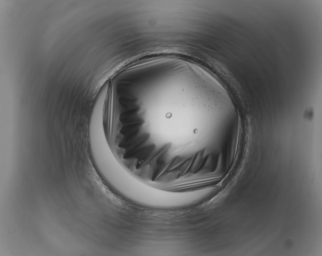 X0000112460985200909071105